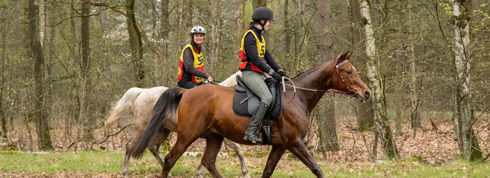 KEV Home Banner Endurance Vereniging Klasse 1