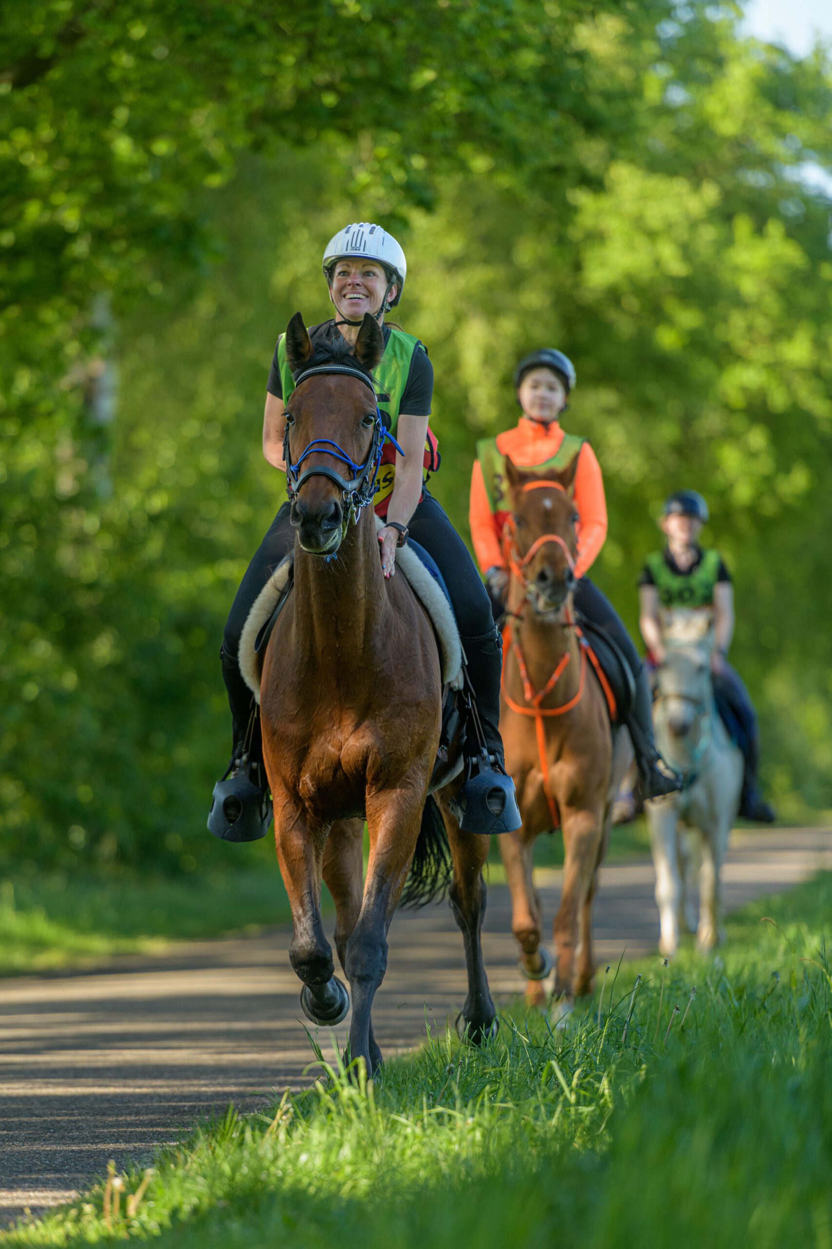 beste paard easy 2.jpeg