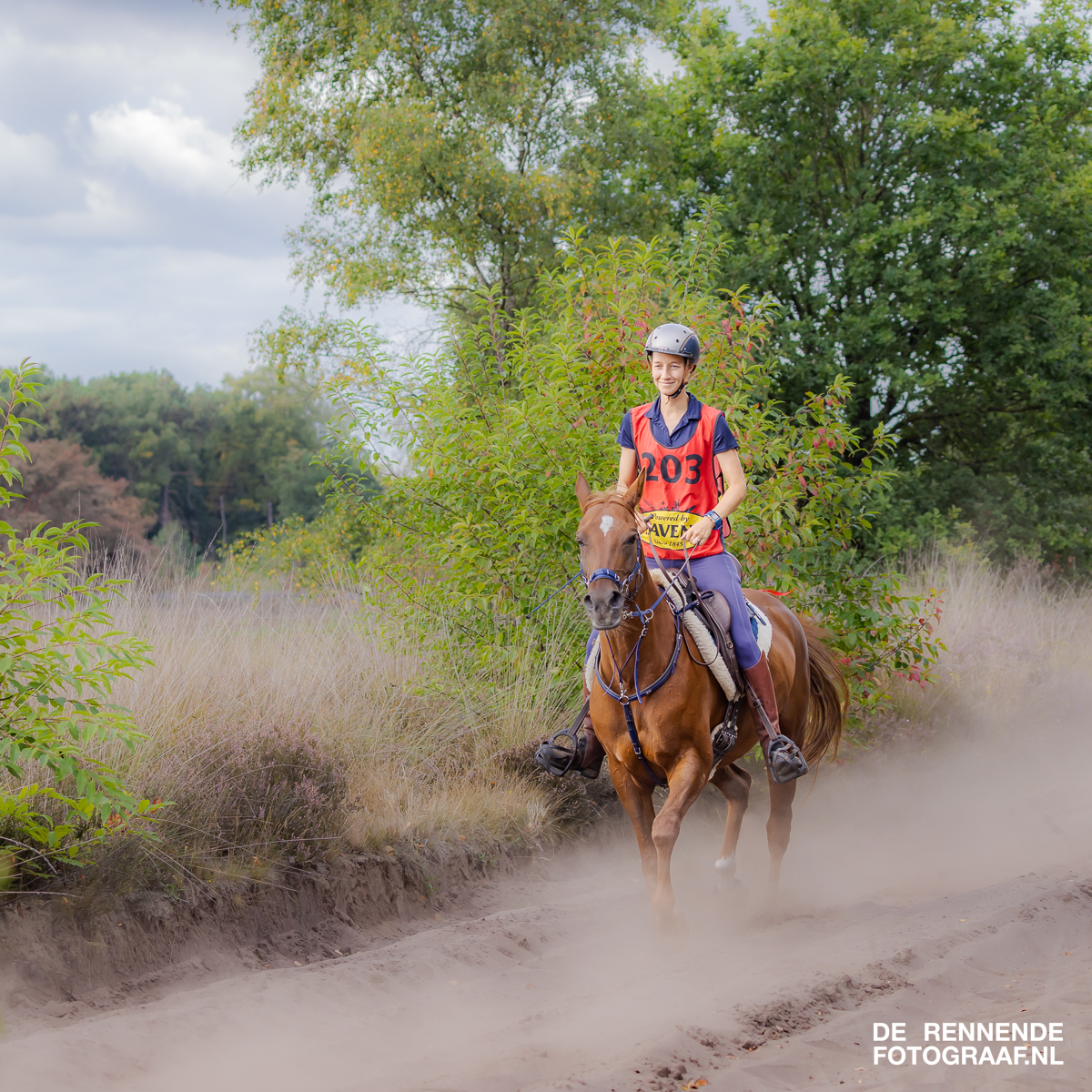(foto: de rennende fotograaf)