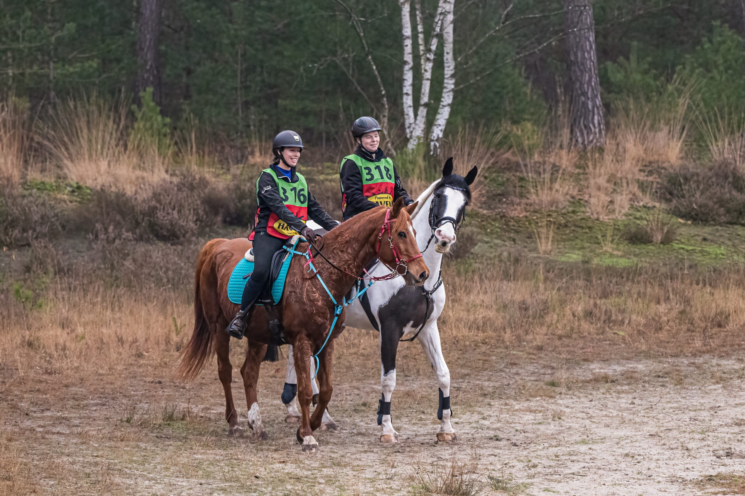 (foto: Rian van Breugel)