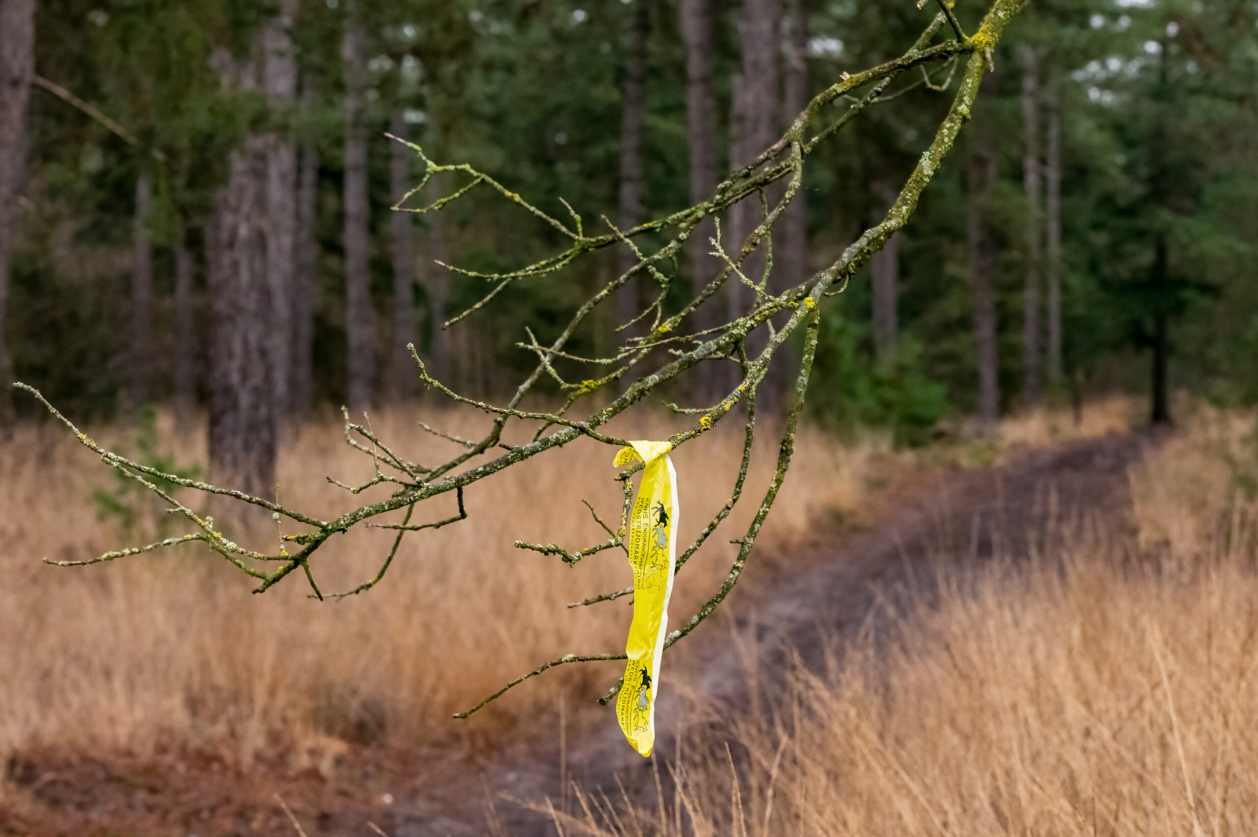 (foto: Rian van Breugel)